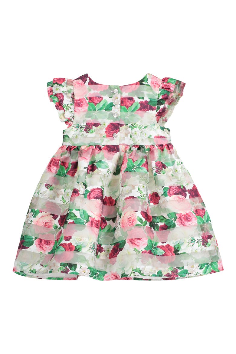 Floral Stripe Flutter Sleeve Organza Dress, Alternate, color, RED/ WHITE