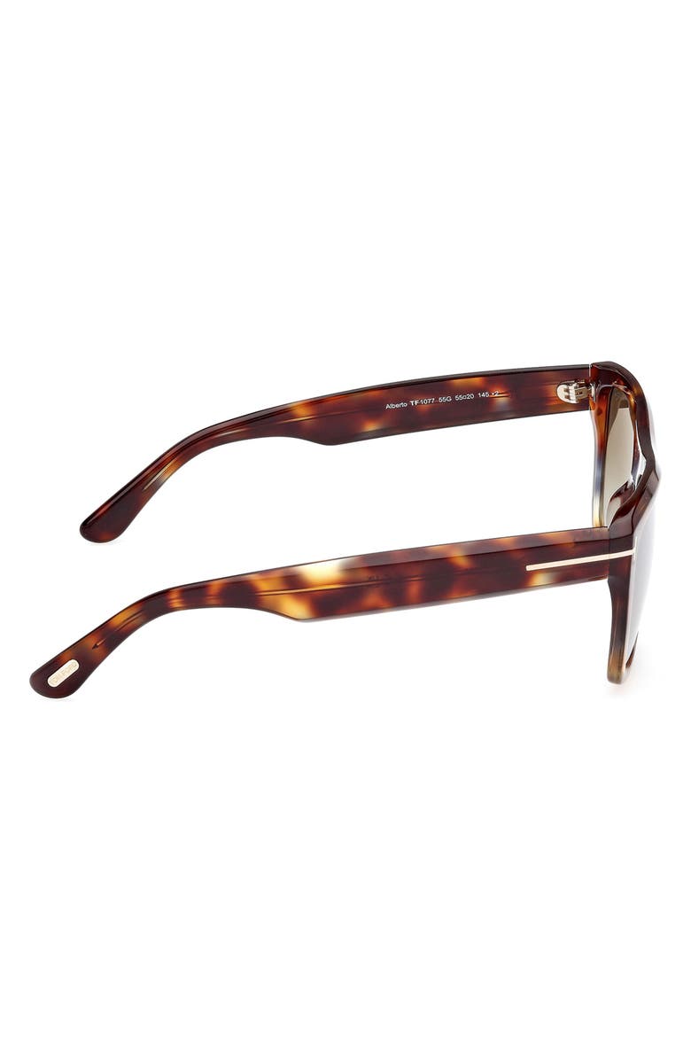 TOM FORD Alberto 55mm Gradient Square Sunglasses, Alternate, color, Vintage Grey Havana / T Logo