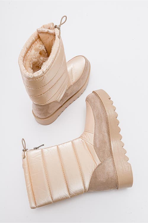 Prologue Shoes Vay Zip Snow Boot In Brown