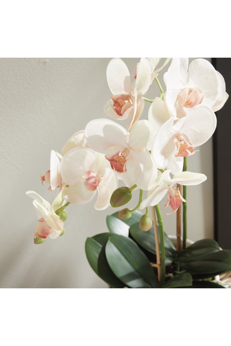 Phalaenopsis Orchid Artificial Plant Drop-In, Alternate, color, Pink