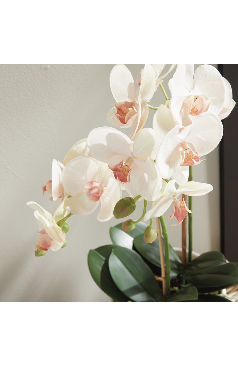 Napa Home & Garden Phalaenopsis Orchid Artificial Plant Drop-In, Alternate, color, Pink