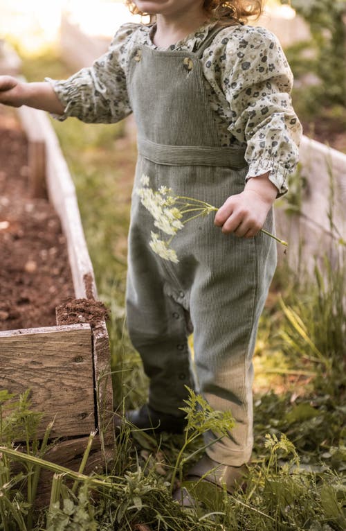 Pehr Organic Cotton Corduroy Overalls In Brown
