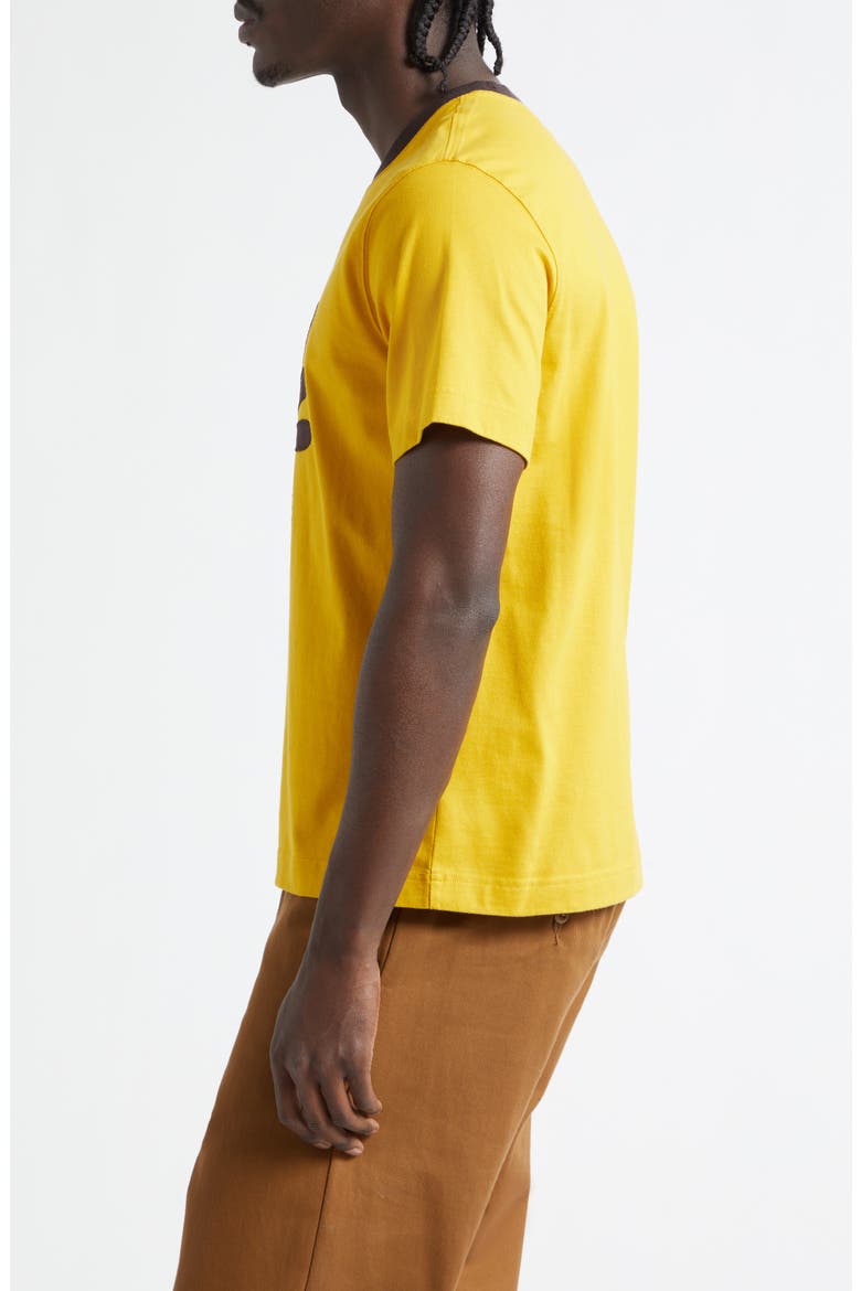 Daisy Appliqué Ringer T-Shirt, Alternate, color, PEAR
