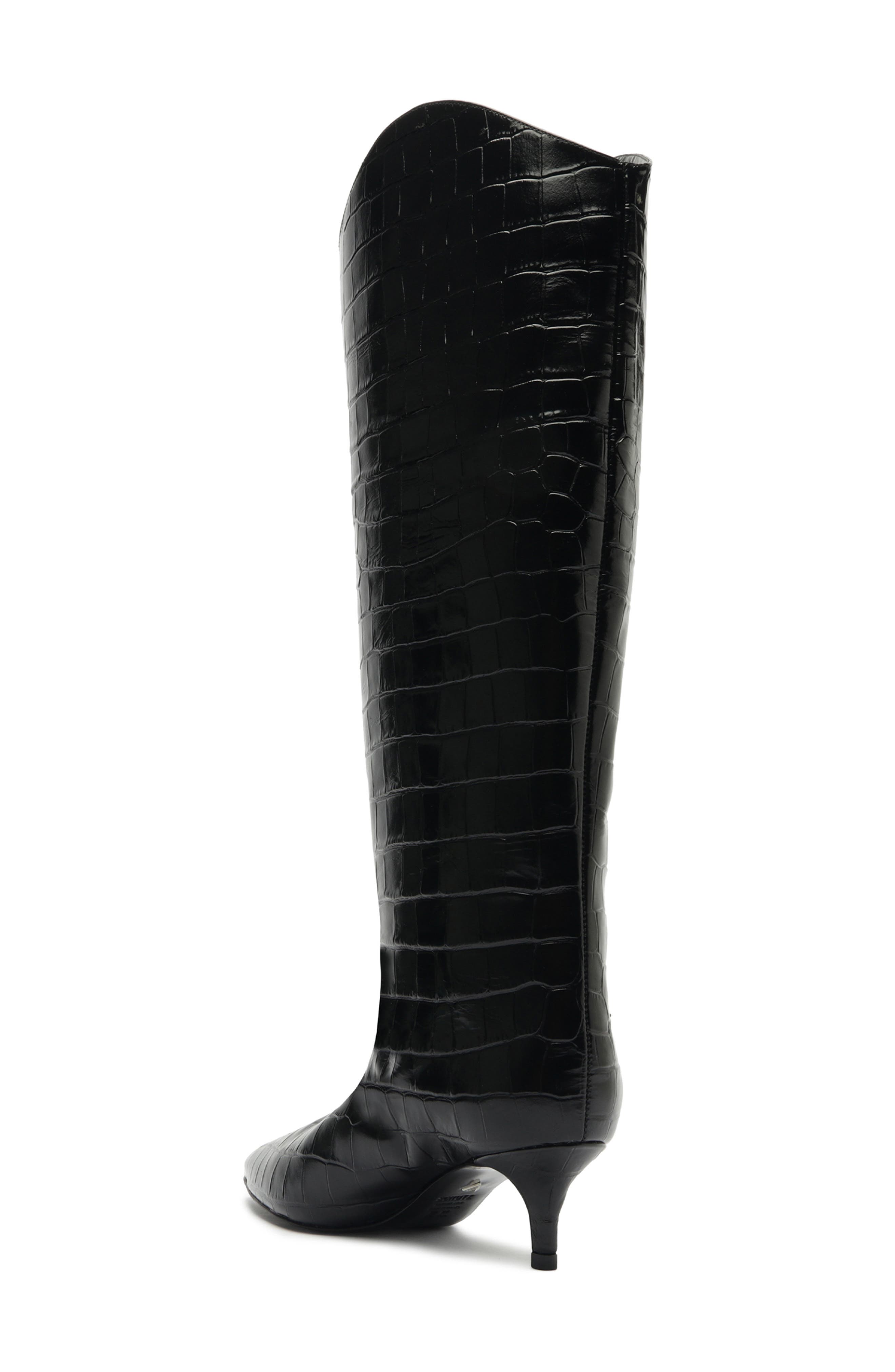 Schutz Maryana Lo Pointed Toe Knee High Boot, Alternate, color, Black