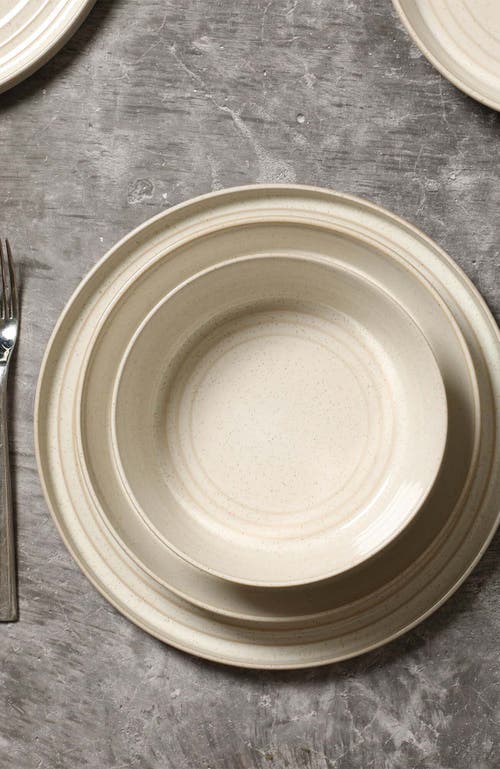 Stone Lain Claire Stoneware 4-piece Dinner Plate Set In Neutral