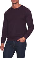 TailorByrd Cozy Crewneck Sweater
