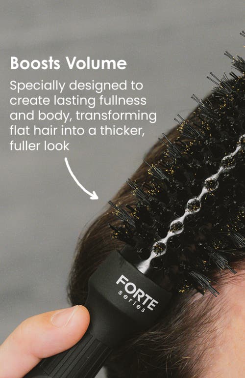 Forte Series Boar Bristle Round Brush In No Color