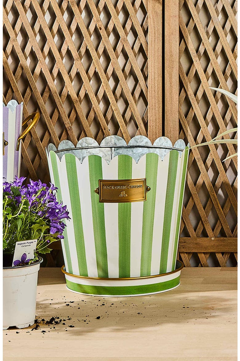 Grass Green Stripe Set of 3 Pots & Saucers, Alternate, color, GREEN