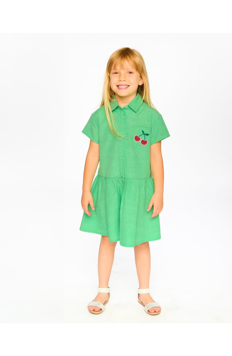 Deux par Deux Embroidery Cotton Short Sleeve Shirt Dress, Alternate, color, Green