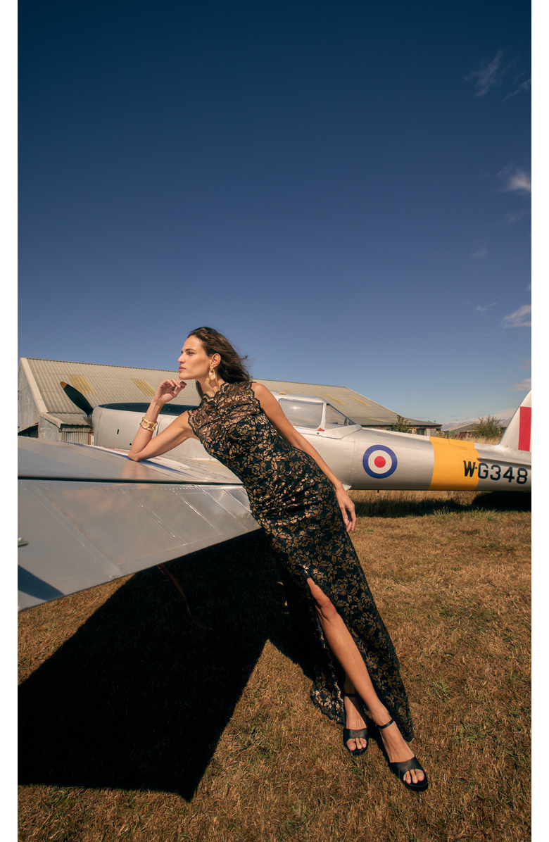 Temperley London Orris Sleeveless Gown, Alternate, color, Gold & Black