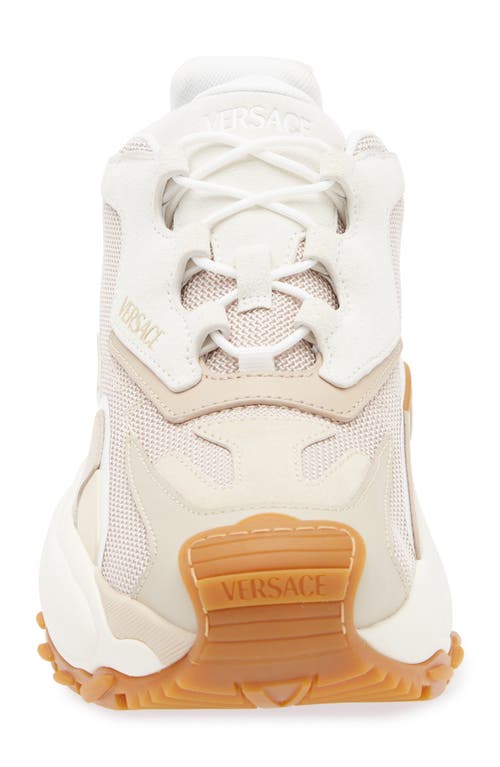 Versace Low Top Sneaker In Mastic Chiffon- Gold