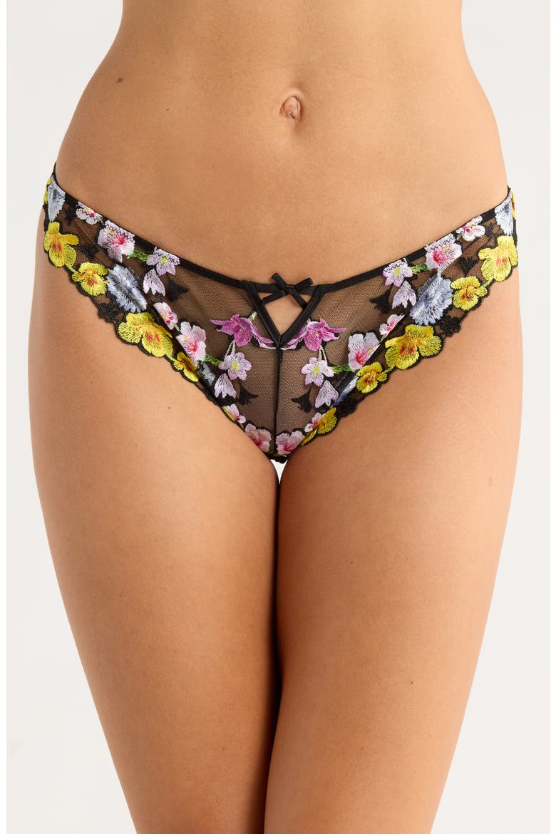 Eden Embroidered Silk Blend Bikini Briefs, Main, color, BLACK