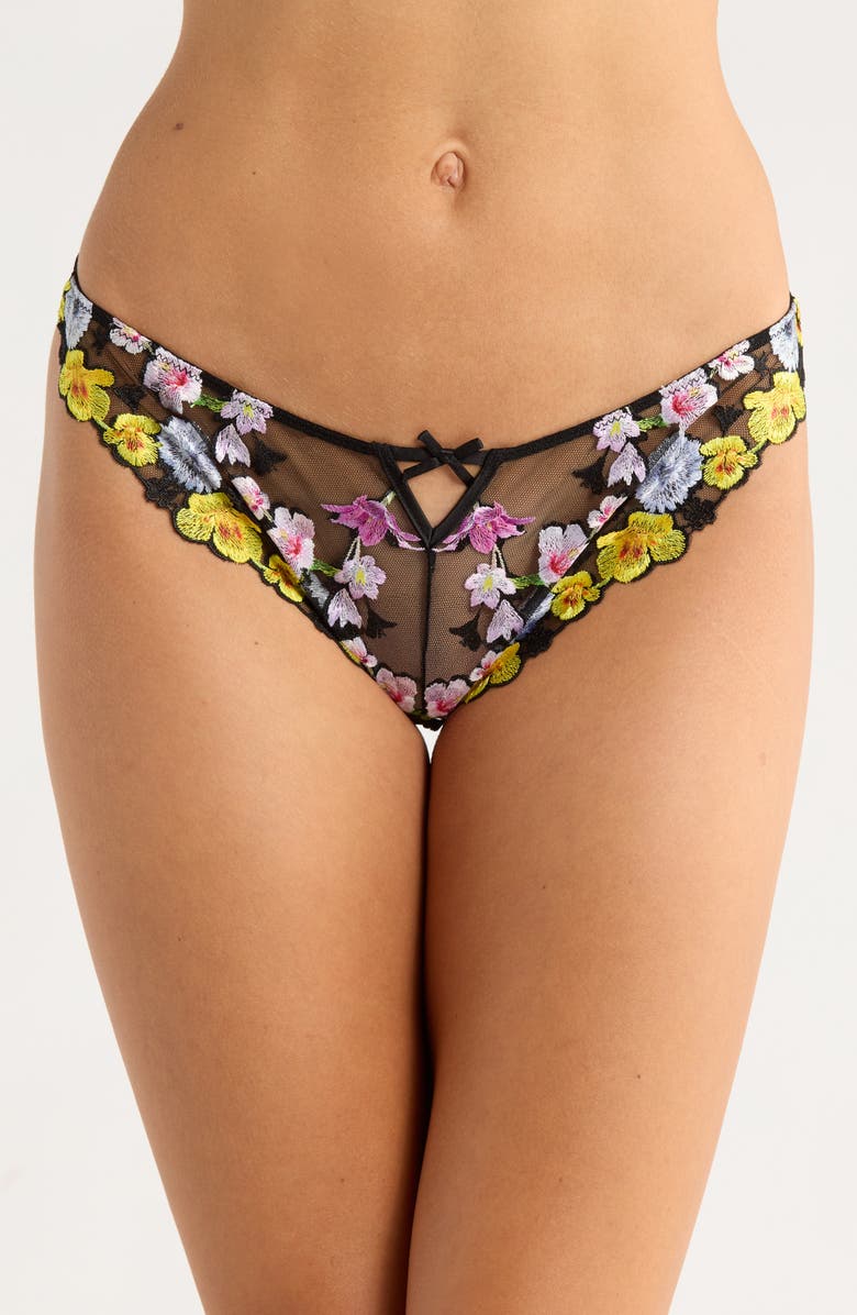 Fleur Du Mal Eden Embroidered Silk Blend Bikini Briefs, Main, color, Black