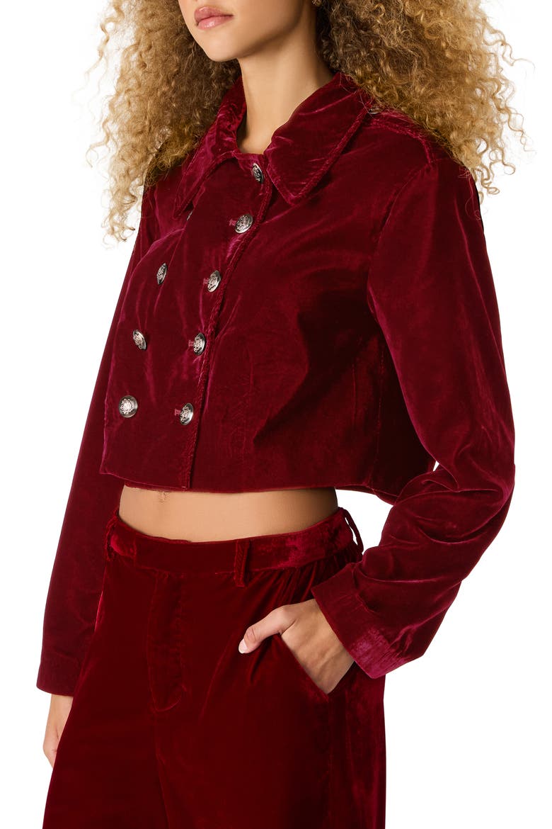 Tonia Velvet Crop Double Breasted Jacket, Alternate, color, RED VELVET