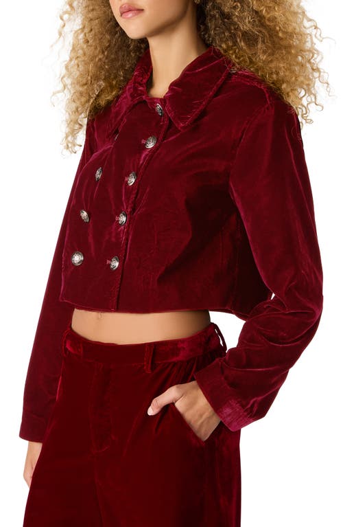 Steve Madden Tonia Velvet Crop Double Breasted Jacket In Red