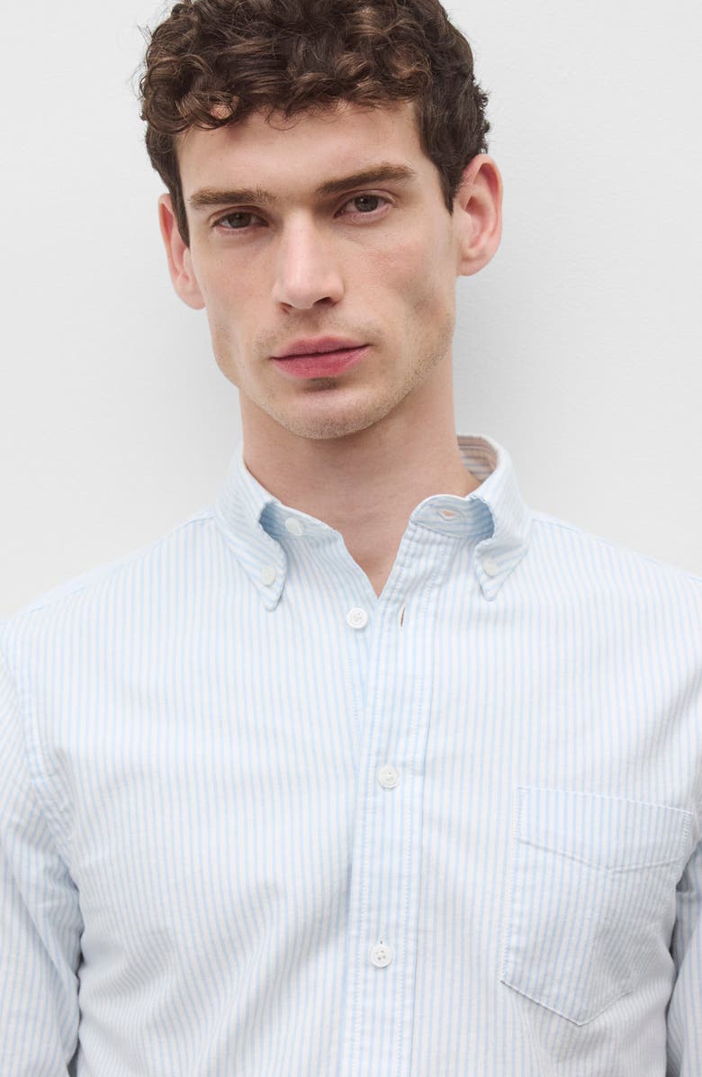 Reigning Champ Stripe Cotton Oxford Button-Down Shirt, Alternate, color, White-Blue