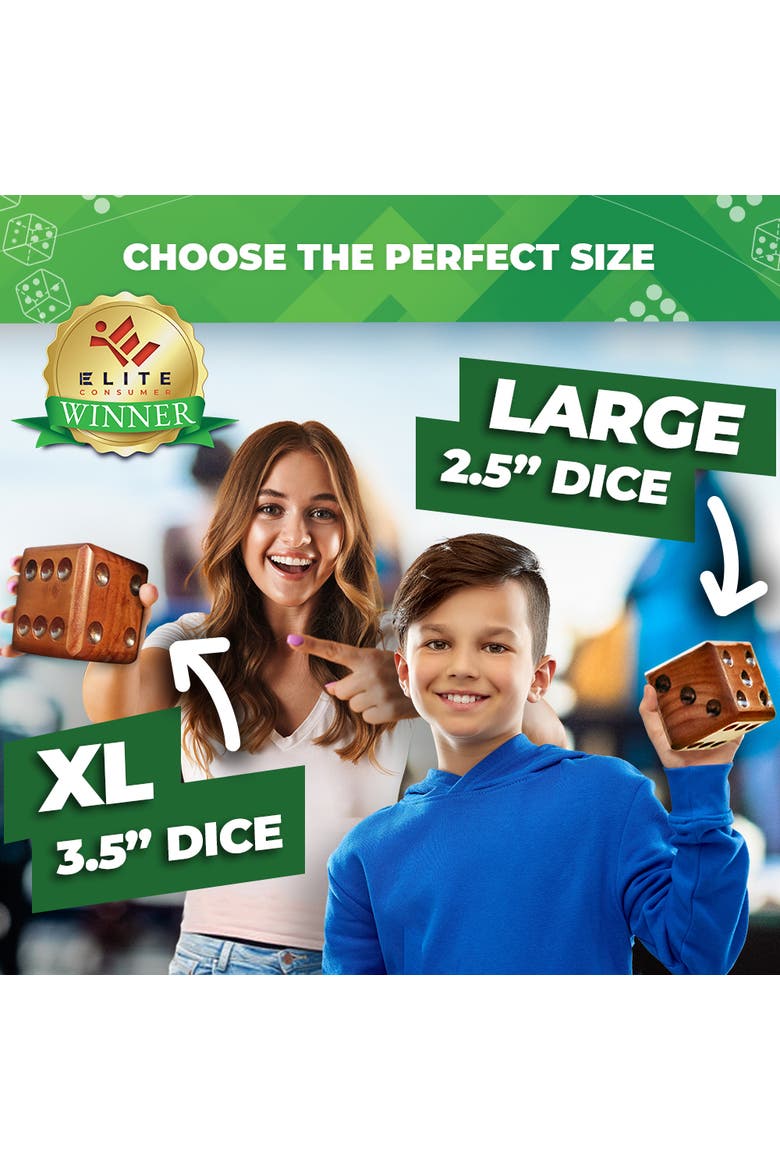 Yardzee, Farkle & 20+ Dice Games | 2.5in Dice, Alternate, color, Brown