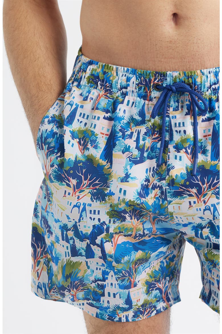 Printed Swim Trunks, Alternate, color, BLUE