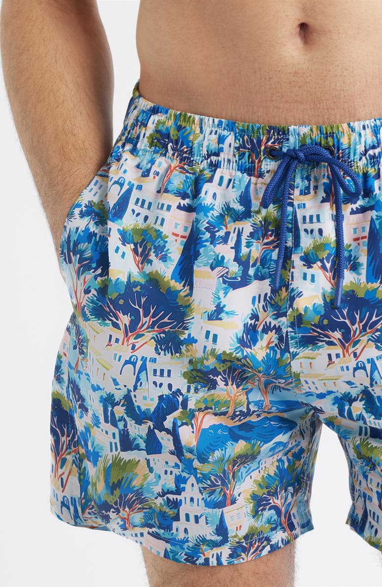Boardies Printed Swim Trunks, Alternate, color, Blue
