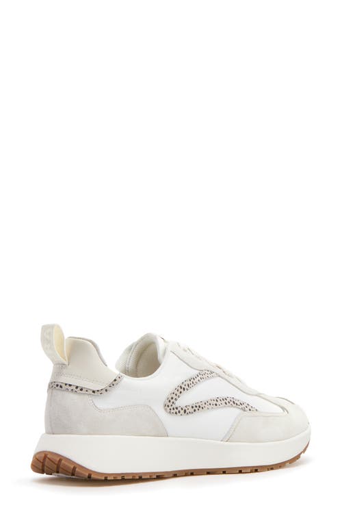 Frankie4 Axel Sneaker In Stone