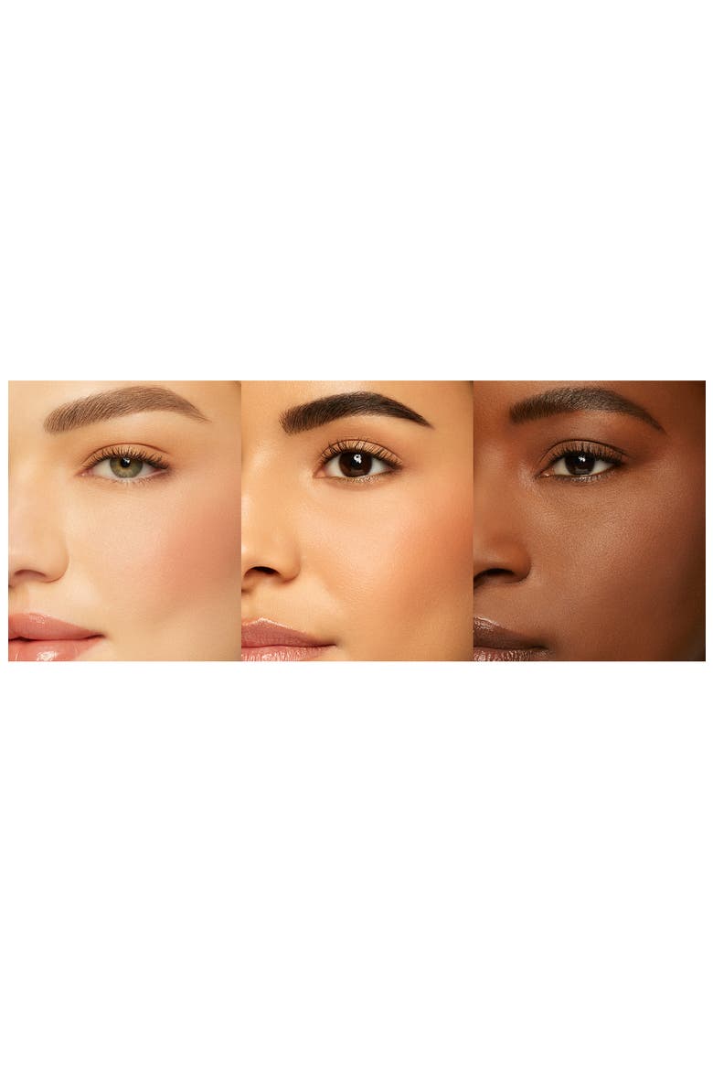 Pleasure Trip Cheek Palette $87 Value, Alternate, color, NO COLOR