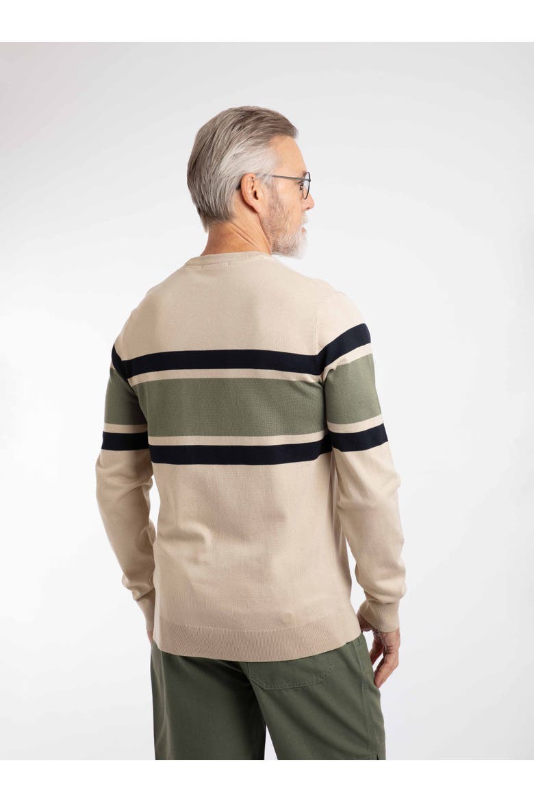 Ryker Stripe Crew Neck Jumper, Alternate, color, Oyster