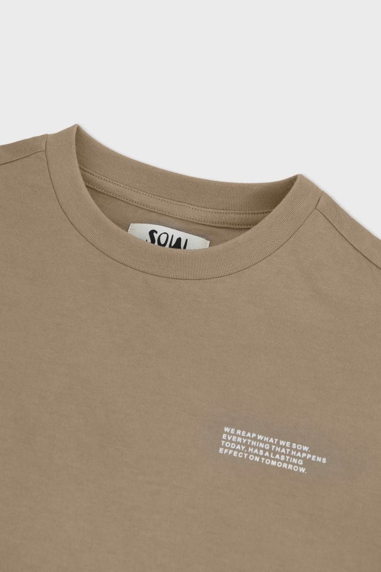 Relaxed Cotton T-Shirt With Print, Alternate, color, Light Brown