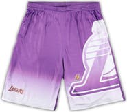 FANATICS Men's Fanatics Branded Purple Los Angeles Lakers Big & Tall Graphic Shorts
