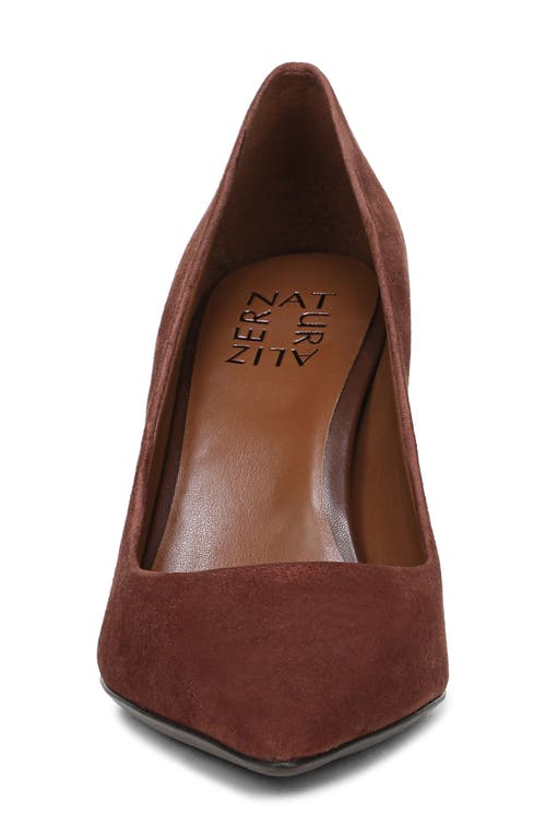 Naturalizer Anna Pointed Toe Pump In Brown