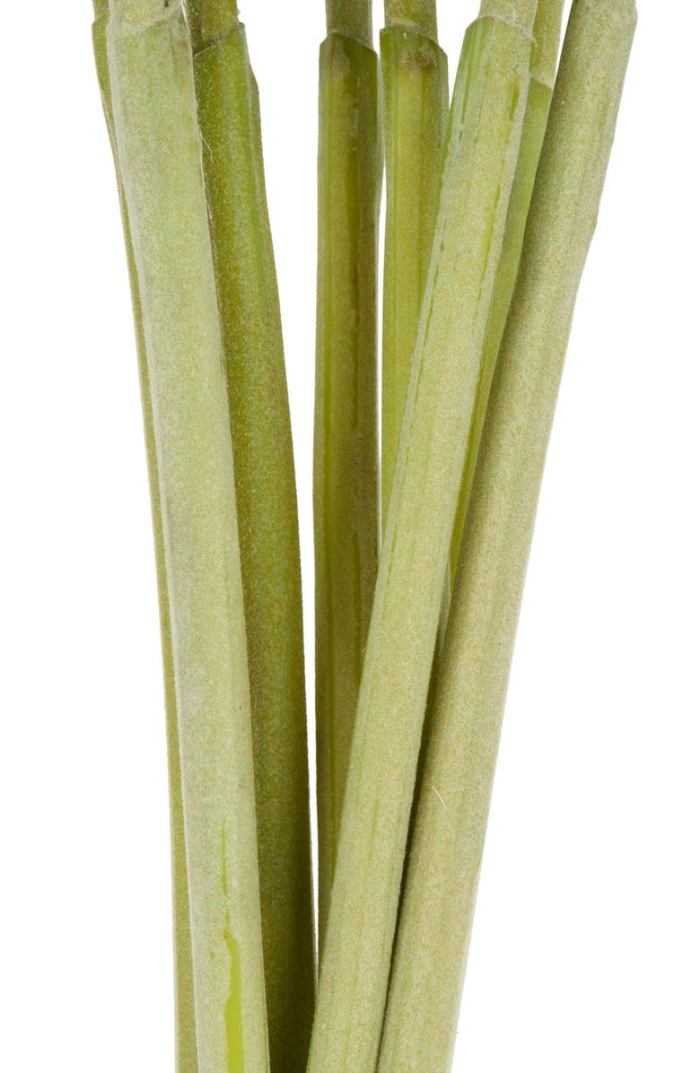 SONOMA SAGE HOME Set of Eight Hollyhock Artificial Flowers, Alternate, color, White