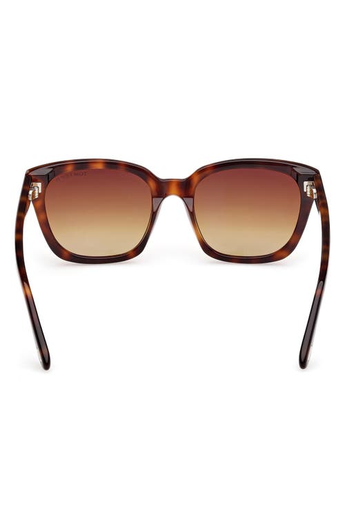 Tom Ford Beatrix Ft0613 52h Geometric Polarized Sunglasses In Shiny Hark Havana Eco