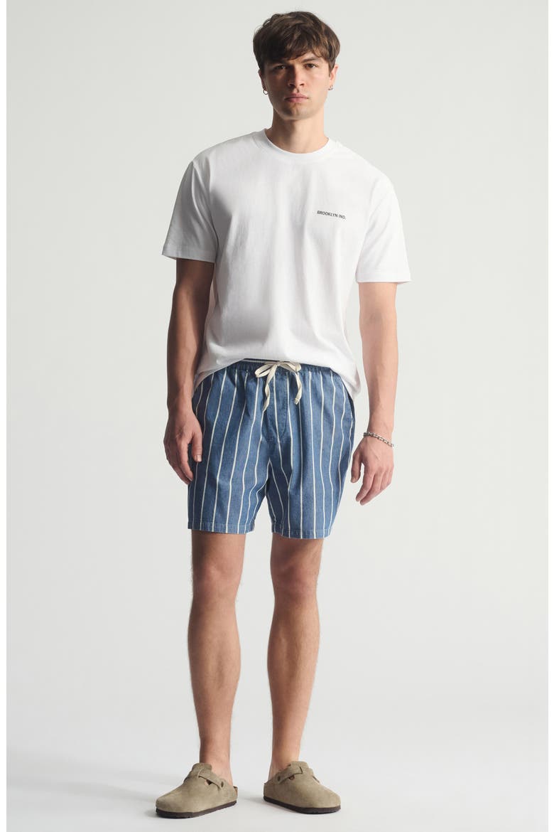 Stripe Pull-On Loose Fit Shorts, Alternate, color, BLUE STRIPED