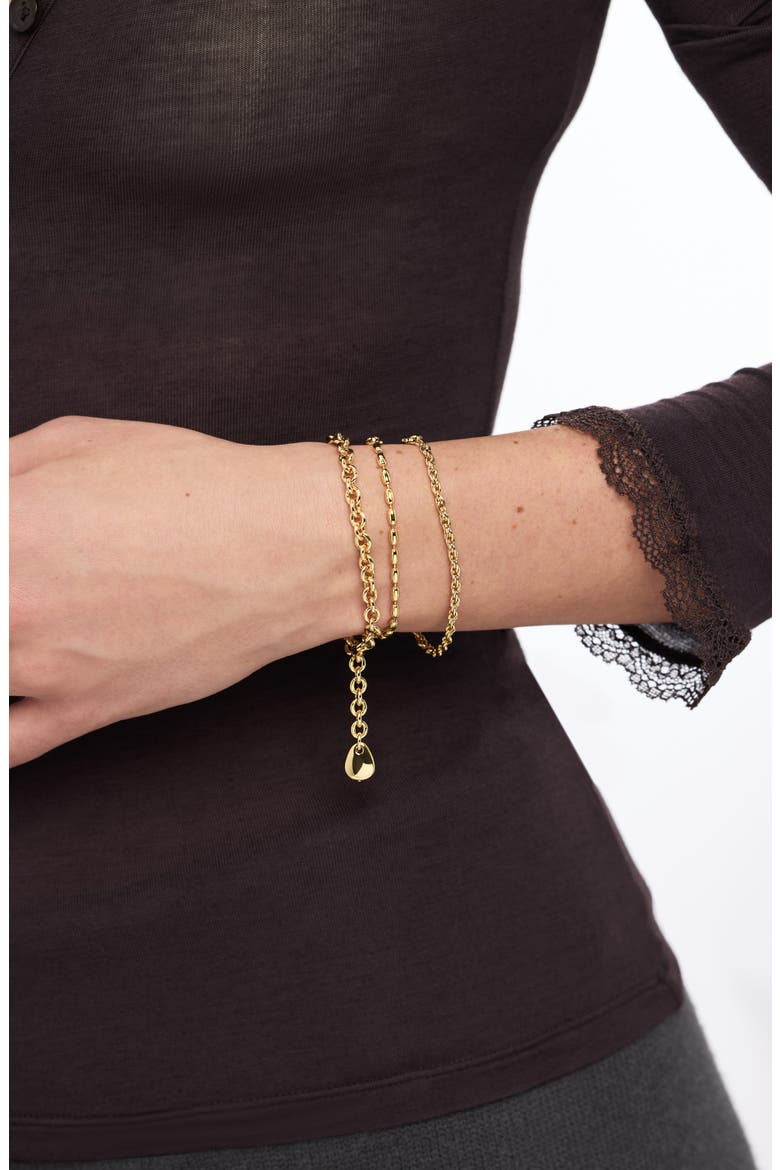 Gold Charm Bracelet - Pebble Charm Bracelet, Alternate, color, Gold