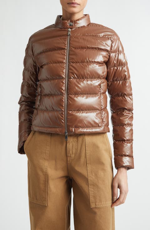 Papillon Crop Lacquered Nylon Puffer Jacket