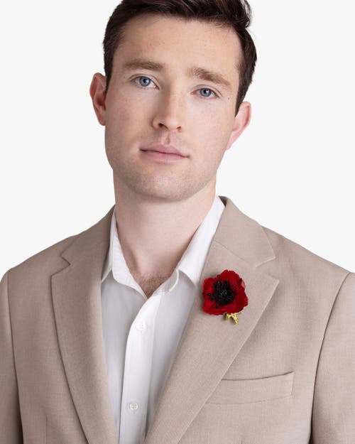 Helena Simon The Red Poppy In Red