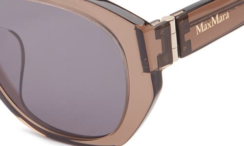 Max Mara 54mm Round Sunglasses In Brown