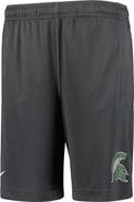 Nike Youth Nike Anthracite Michigan State Spartans Performance Fly Shorts