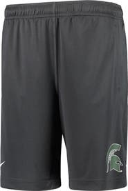 Nike Youth Nike Anthracite Michigan State Spartans Performance Fly Shorts
