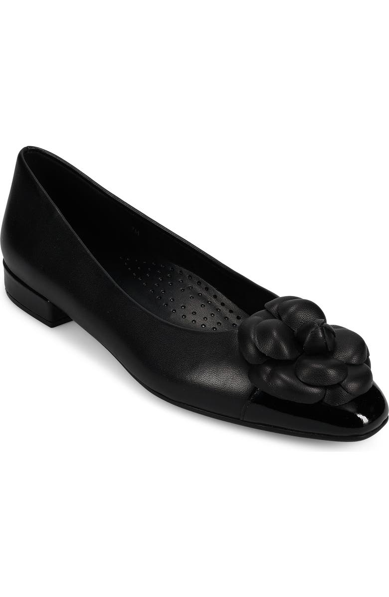 VANELi Tasina Cap Toe Flat, Main, color,