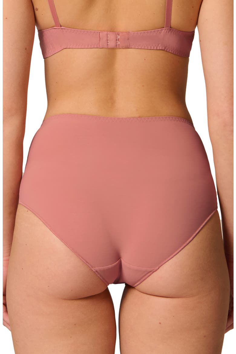 Delice Retro Briefs, Alternate, color, SMOKEY PINK