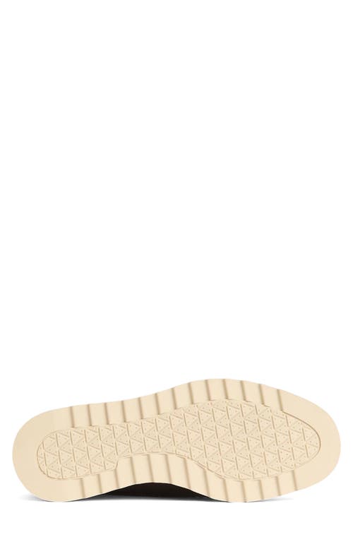 Barbour Hadston Chukka Boot In Brown