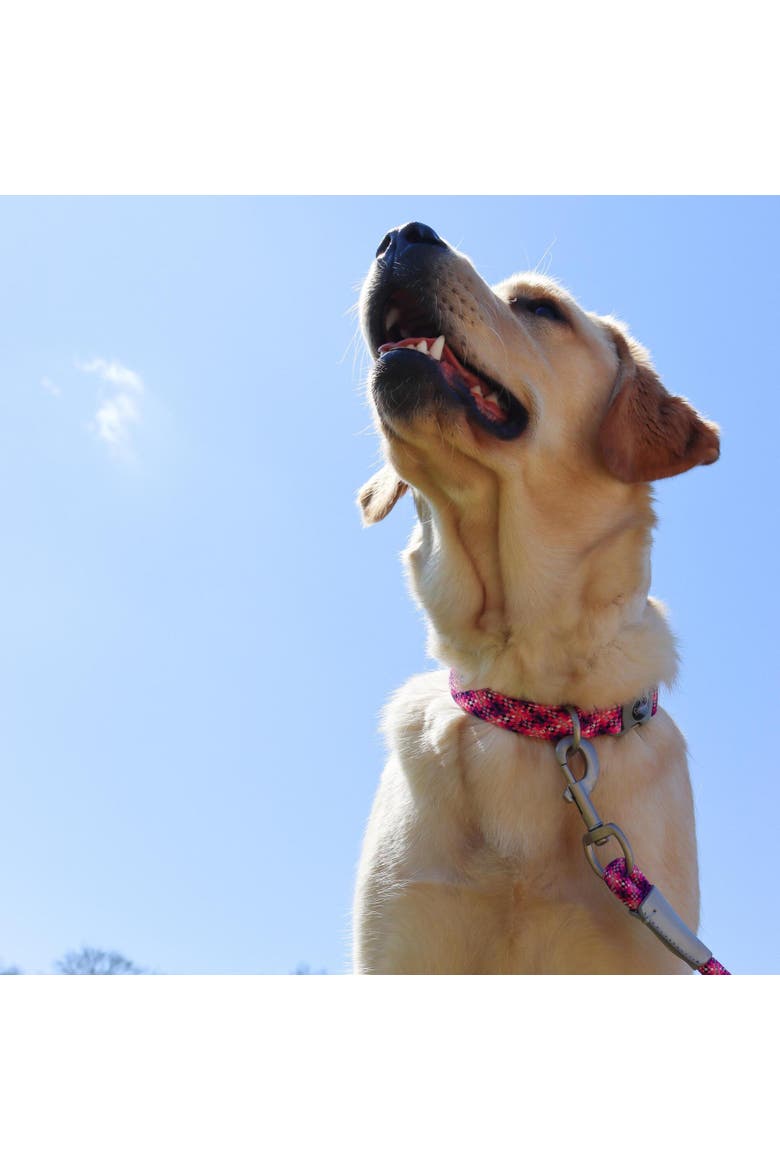 Active Woven Reflective Dog Collar, Pixel Pink, Large, 1 Inch, Adjustable, Alternate, color, Pink