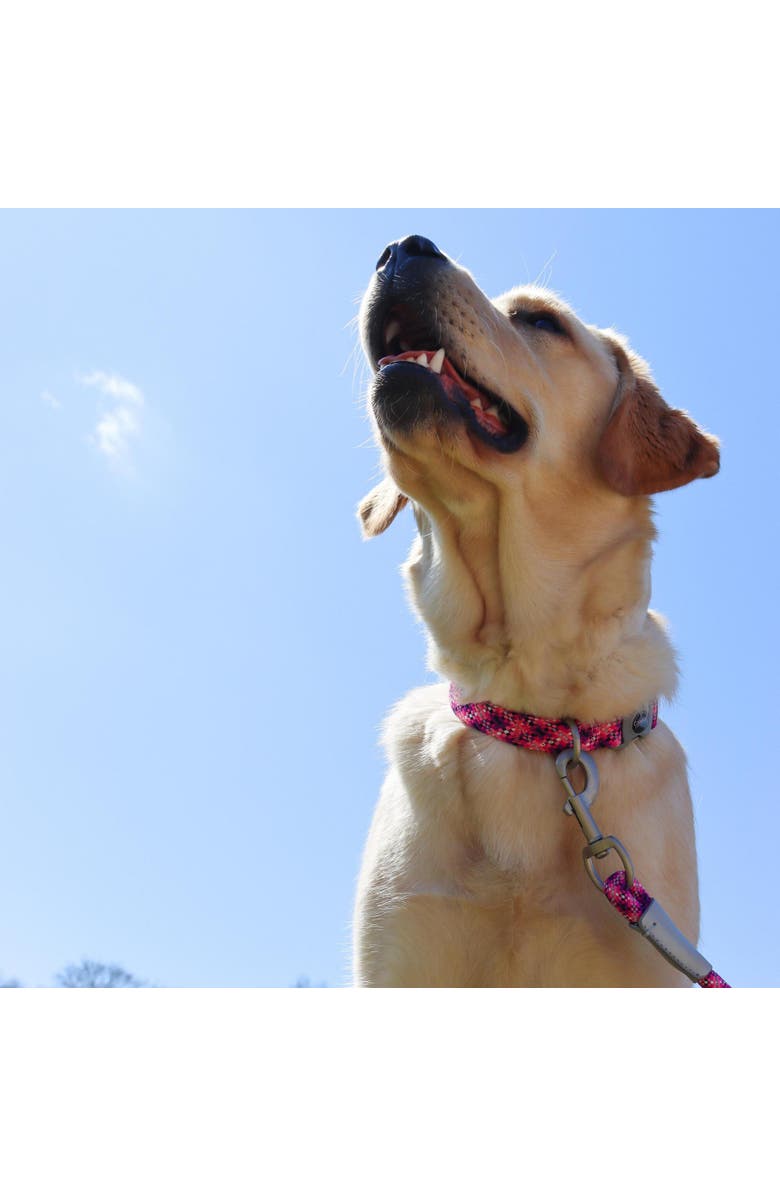 Pro Active Woven Reflective Dog Collar, Pixel Pink, Large, 1 Inch, Adjustable, Alternate, color, Pink