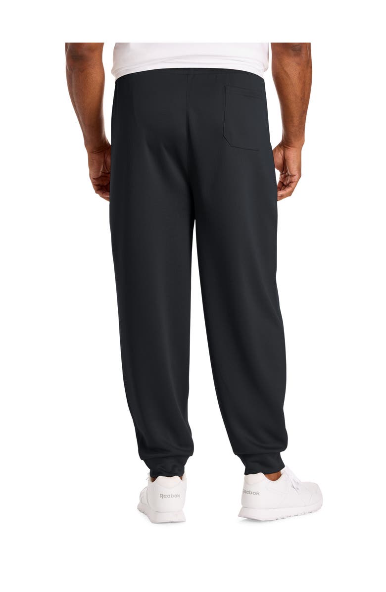 Reebok Big & Tall Birdseye Performance Textured Joggers, Alternate, color, Black