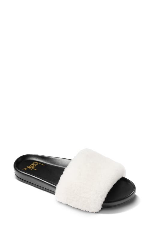 Beek Gallito Más Genuine Shearling Slide Sandal In Black