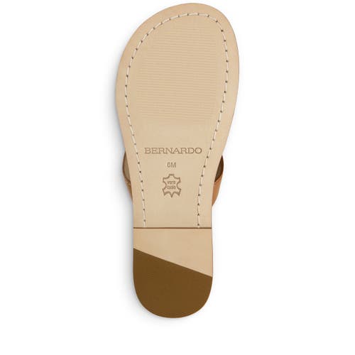 Shop Bernardo Footwear Matrix 2 Thong Sandal In Luggage