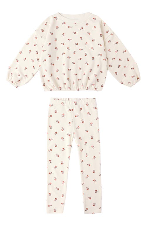 Rylee + Cru Spongey Knit Shirt & Pants In Brown