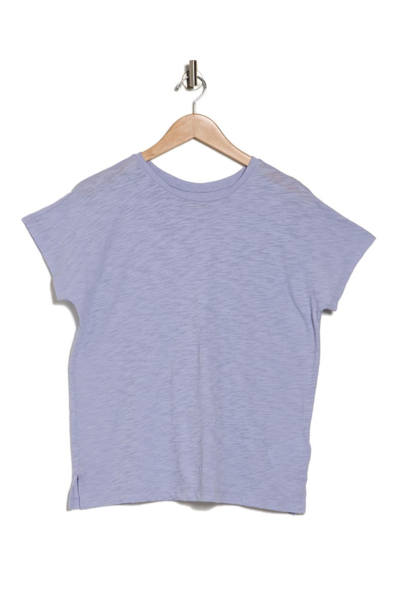 Gauze Slub Knit T-Shirt, Alternate, color, WASHED LAVENDER