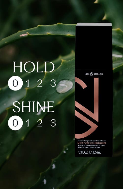 Nick Stenson Beauty Moisture Conditioner
