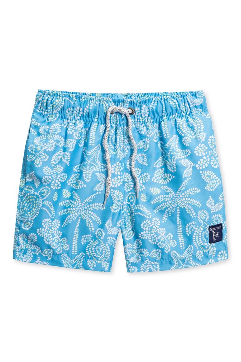 Kids' Turtles Volley Swim Trunks, Main, color, BLUE